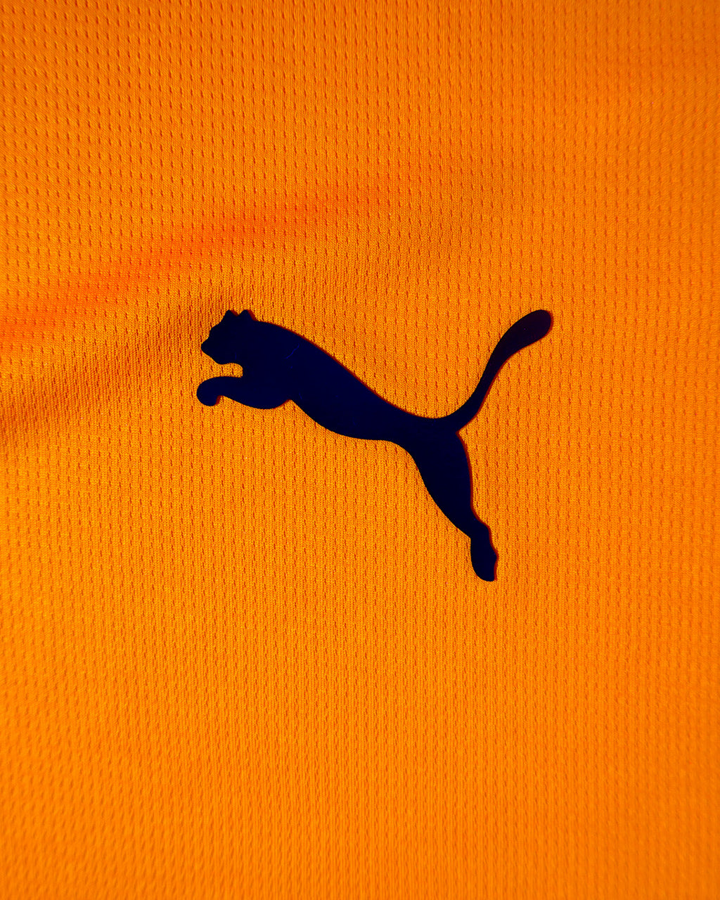 Galatasaray Heimtrikot 2024/25